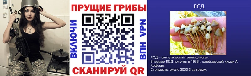 Псилоцибиновые грибы прущие грибы Усолье-Сибирское