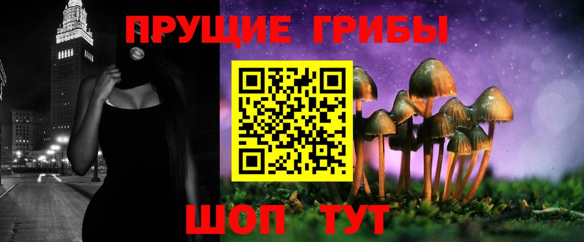 Усолье-Сибирское  Галлюциногенные грибы прущие грибы  Вход с VPN 